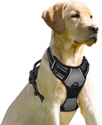 BARKBAY Dog Harness No Pull for Large Dogs Front Back Clips - Large(Chest:24.5-32.5") / Dark Grey