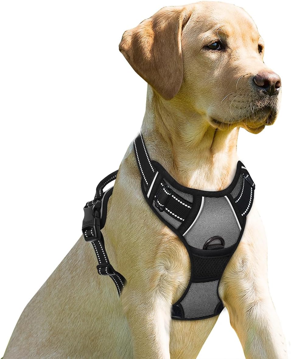 BARKBAY Dog Harness No Pull for Large Dogs Front Back Clips - Large(Chest:24.5-32.5") / Dark Grey