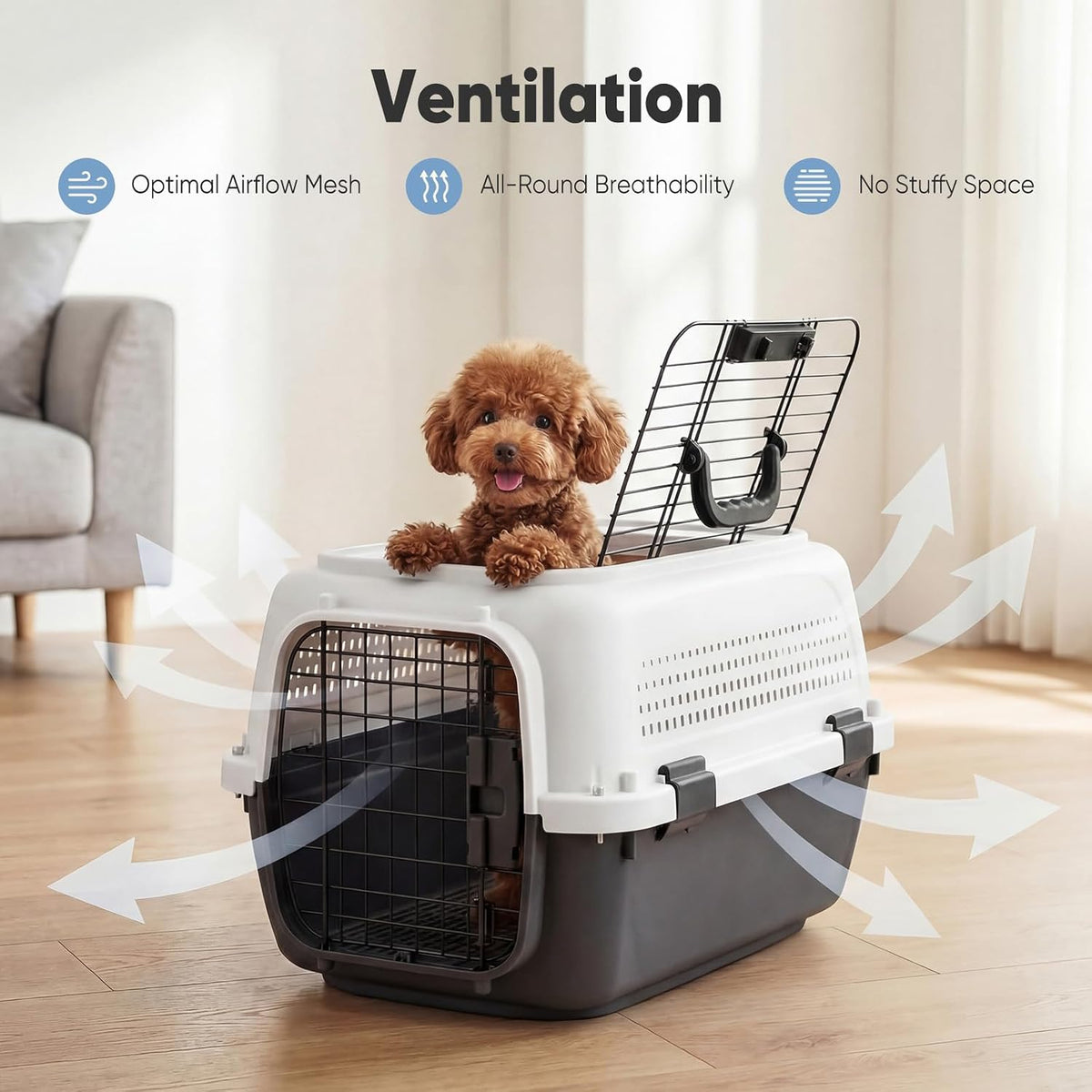 DUMOS 23" Hard-Sided Pet Carrier for Small Pets - White & Black / 22.4"L x 14.6"W x 13.0"H - image 2