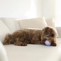 Playology Durable Large Dual Layer Dog Ball, Peanut Butter Scent - Medium / Lamb - image 3
