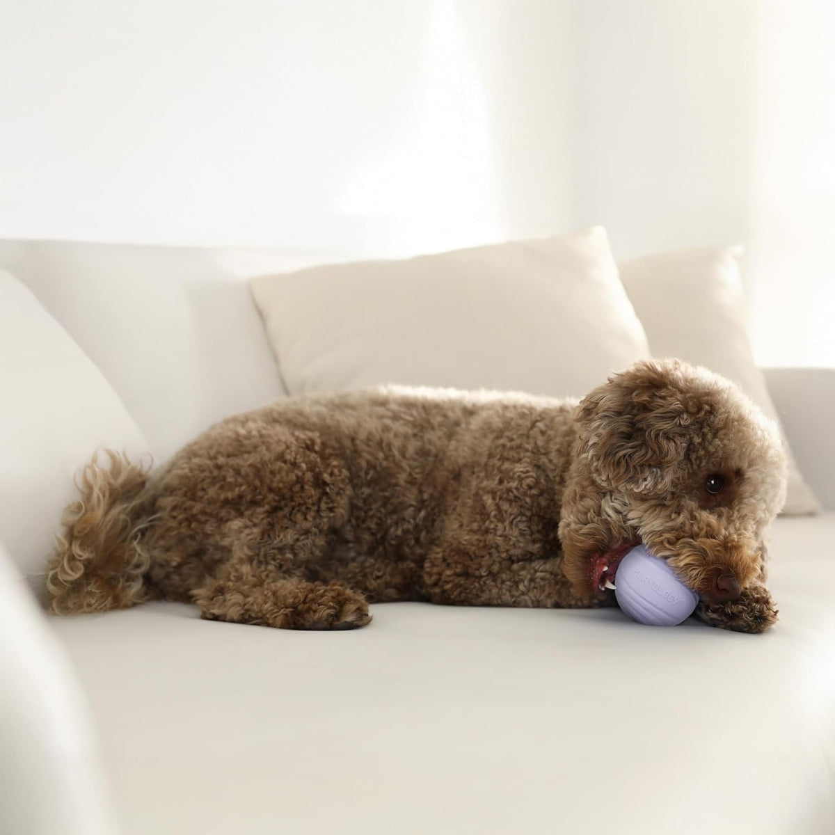 Playology Durable Large Dual Layer Dog Ball, Peanut Butter Scent - Medium / Lamb - image 3