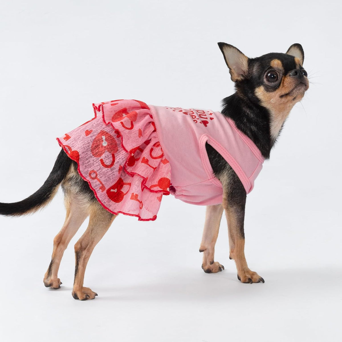 Fitwarm Halloween Pumpkin Dog Dress - Large / Happy V Day - image 4
