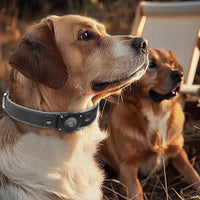 AirTag Dog Collar - Leather Dog Collar with Air Tag Holder | IPX8 Waterproof, Reflective, High - End, Adjustable Soft Padded | Dog GPS Tracker Collars Fit for Medium Large Dogs (Black, L)