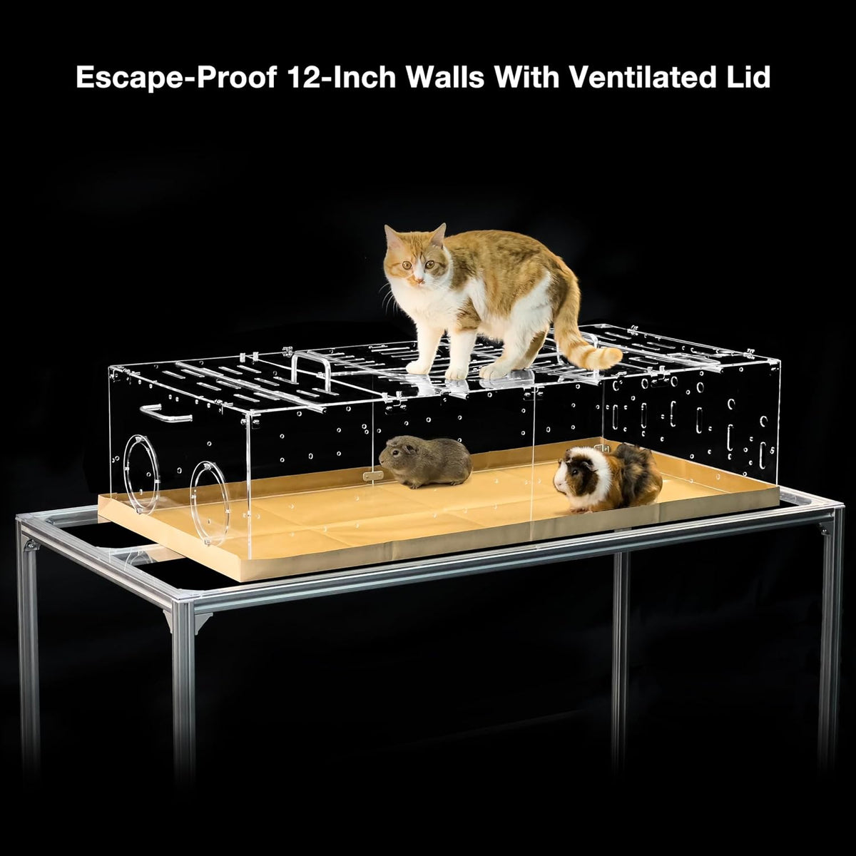 GuineaLoft Model-A Acrylic Guinea Pig Cage - Model-A1 - image 3