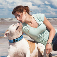 PetiFine Dog Collars for Medium Dogs - Blue / Large (19"-23") - image 4