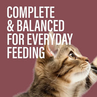 Chewer's Joy Wet Cat Food Variety Pack – 3 Flavors: Tuna & Salmon, Chicken & Turkey – Natural Pâté – High Protein – Grain Free – Complete & Balanced Nutrition – 12 Cans (3 oz)