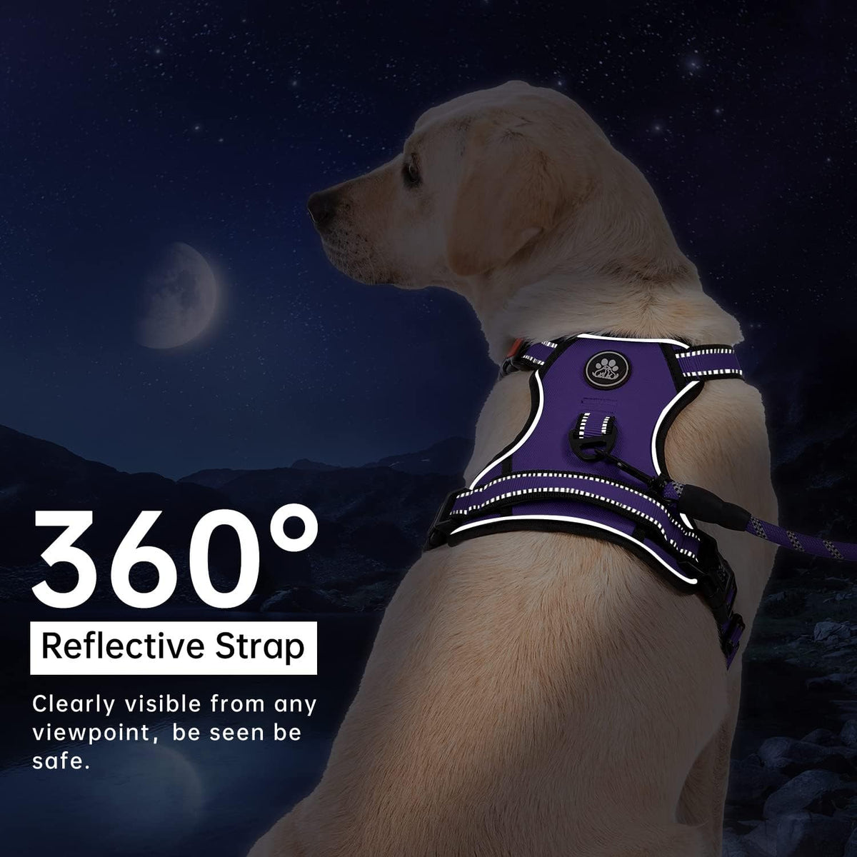 IVY&LANE No Pull Dog Harness for Medium Dogs - Purple / Medium - image 3