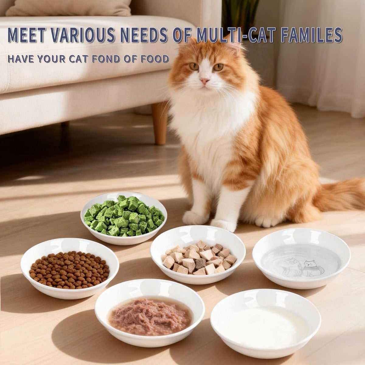 2pcs Wide Shallow Cat Bowls - Fat - image 3