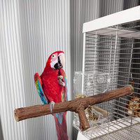 4 Pcs Natural Wooden Bird Perch Parrot Stand, 2 Grape Wood Perches, A Stand Fork Standing Branch, A Paw Grinding Fork, Bird Cage Accessories for Parakeets, Birdcage Sticks & Toys for Budgies, Finches