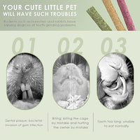 ERKOON Timothy Hay Sticks,Rabbit Chew Toys for Teeth Natural Molar Sticks Rabbits Treats for Bunnies, Chinchilla Guinea Pigs, Gerbil, Hamster (50 Pcs)