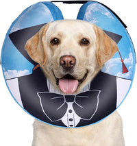 CuteBone Inflatable Dog Neck Donut with Removable Soft Fleece Covers for Small/Medium/Large Dogs and Cats After Surgery GWB13XL