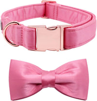 Lionet Paws Bowtie Dog Collar - Large (Pack of 1) / Peach