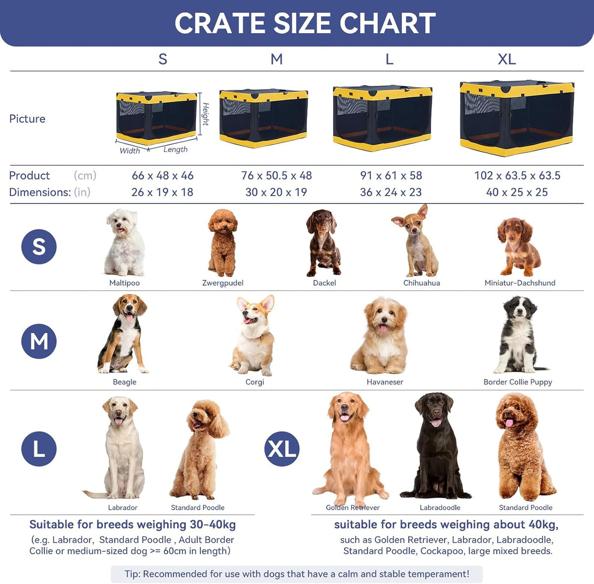 A 4 Pet 36-in Foldable Soft-Sided Dog Crate for Large Dogs – Essentials for Dogs - Blue+Yellow / 30.0"L x 20.0"W x 19.0"H - image 3