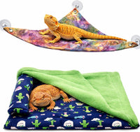 Bearded Dragon Tank Accessories