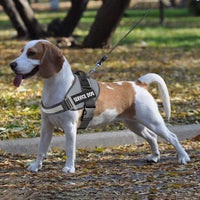 JSXD Dog Harness,No-Pull Service Dog Harness with Handle Adjustable Outdoor Pet Dog Vest 3M - XXL / Grey - image 4