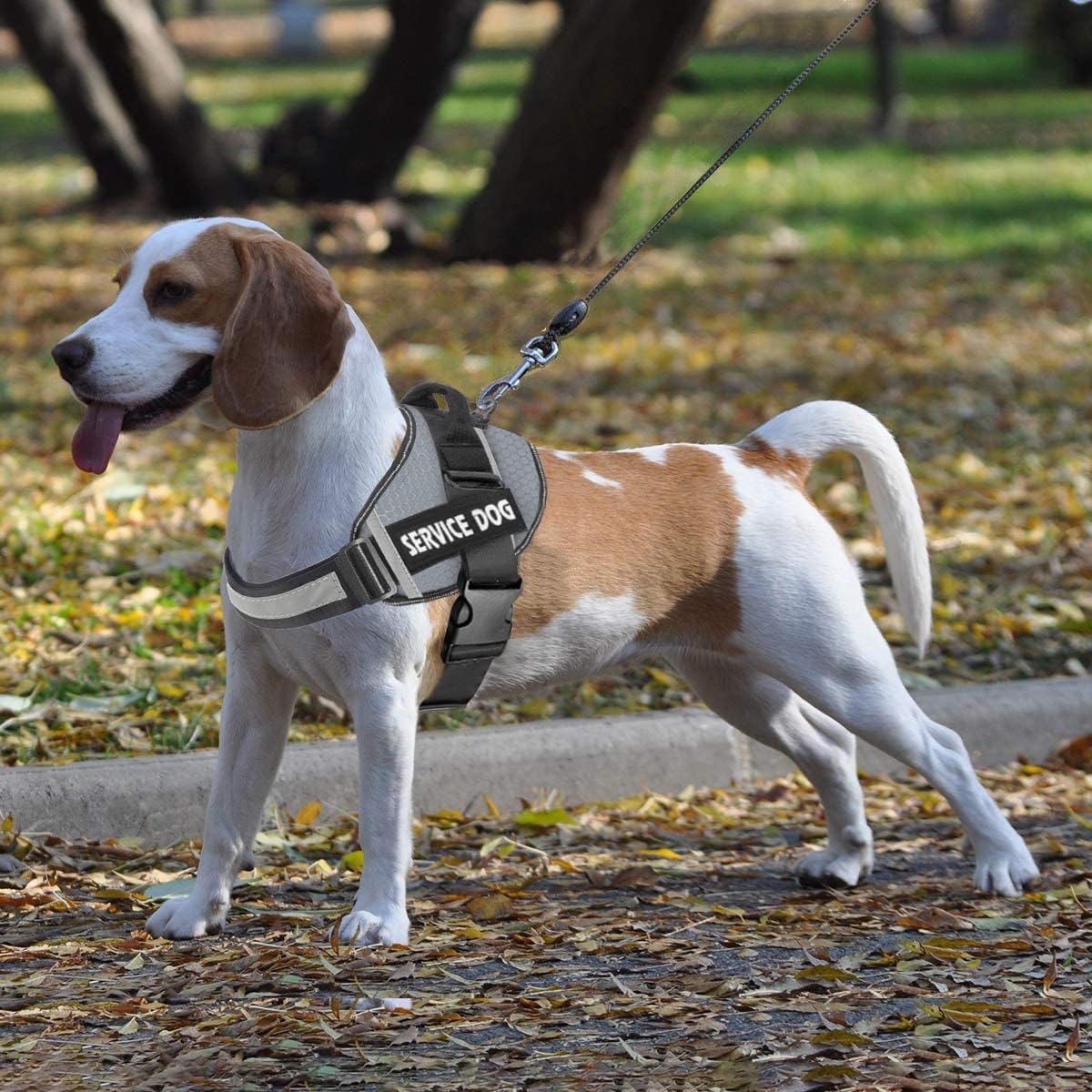 JSXD Dog Harness,No-Pull Service Dog Harness with Handle Adjustable Outdoor Pet Dog Vest 3M - XXL / Grey - image 4