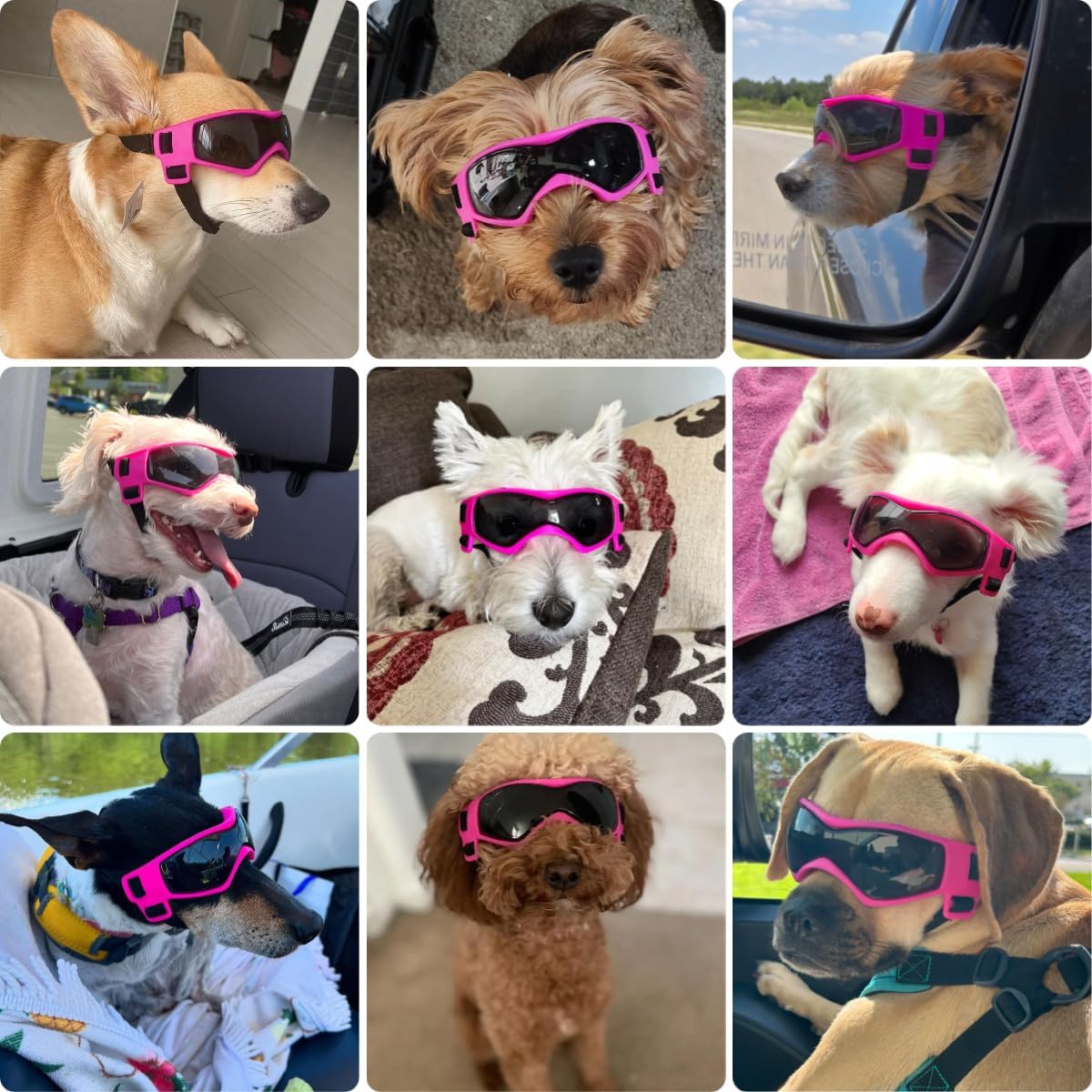 Dog Goggles Small Breed, Dog Sunglasses UV Protection Puppy Eyewear for Small Pet Outdoor Riding - Medium / Pink