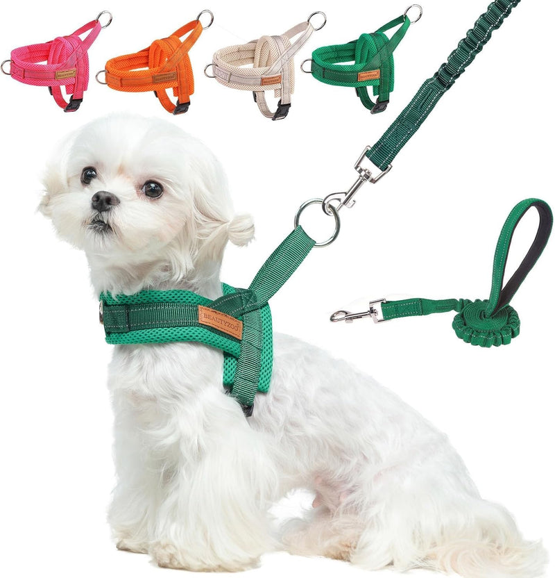 Small Dog Harness and Leash Set, No Pull Step in Puppy Vest – Essentials for Dogs - Green / XS: Chest 15"-18"