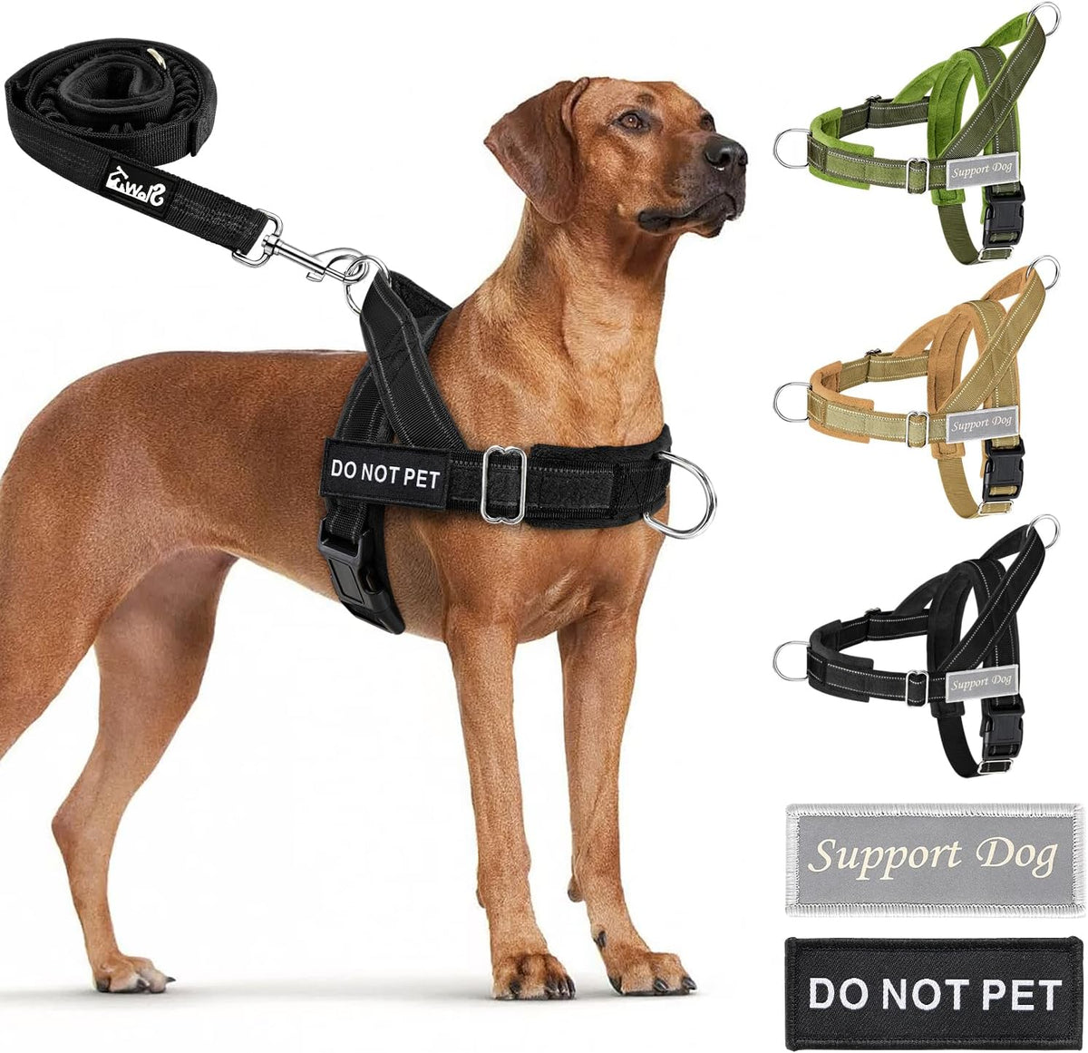 SlowTon No Pull Dog Harness and Leash Set, Heavy Duty - Black / Small