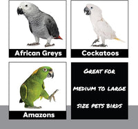 1410 Stainless Pot Delight from Parrots Cockatiels Conures Budgies Macaws Lovebirds African Greys Parrot Toys Stainless Foraging Chew Treat Noise-Making Fun Sensory Enrichment.