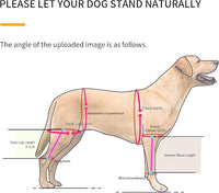 Dog Hip Support Brace – Rear Leg Lift Harness for Mobility & Post-Surgery Recovery, with Chest Straps and Adjustable Elastic Buckles, Customization
