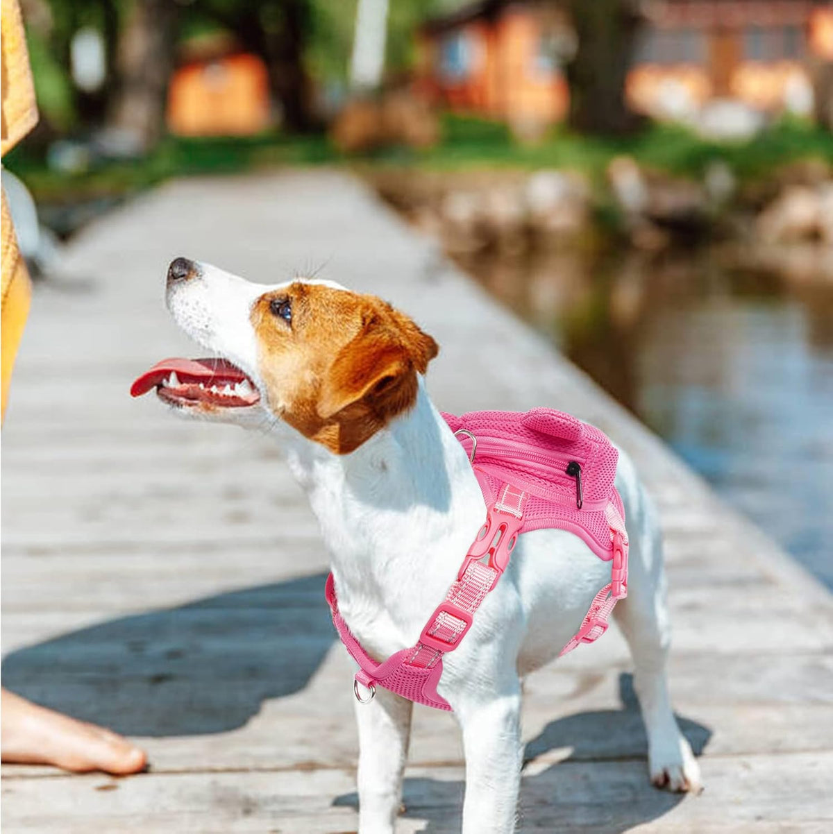 Dog Backpack Harness, No-Pull Dog Backpack with D-Ring, Frog, M - Pink Pig / Small - image 4