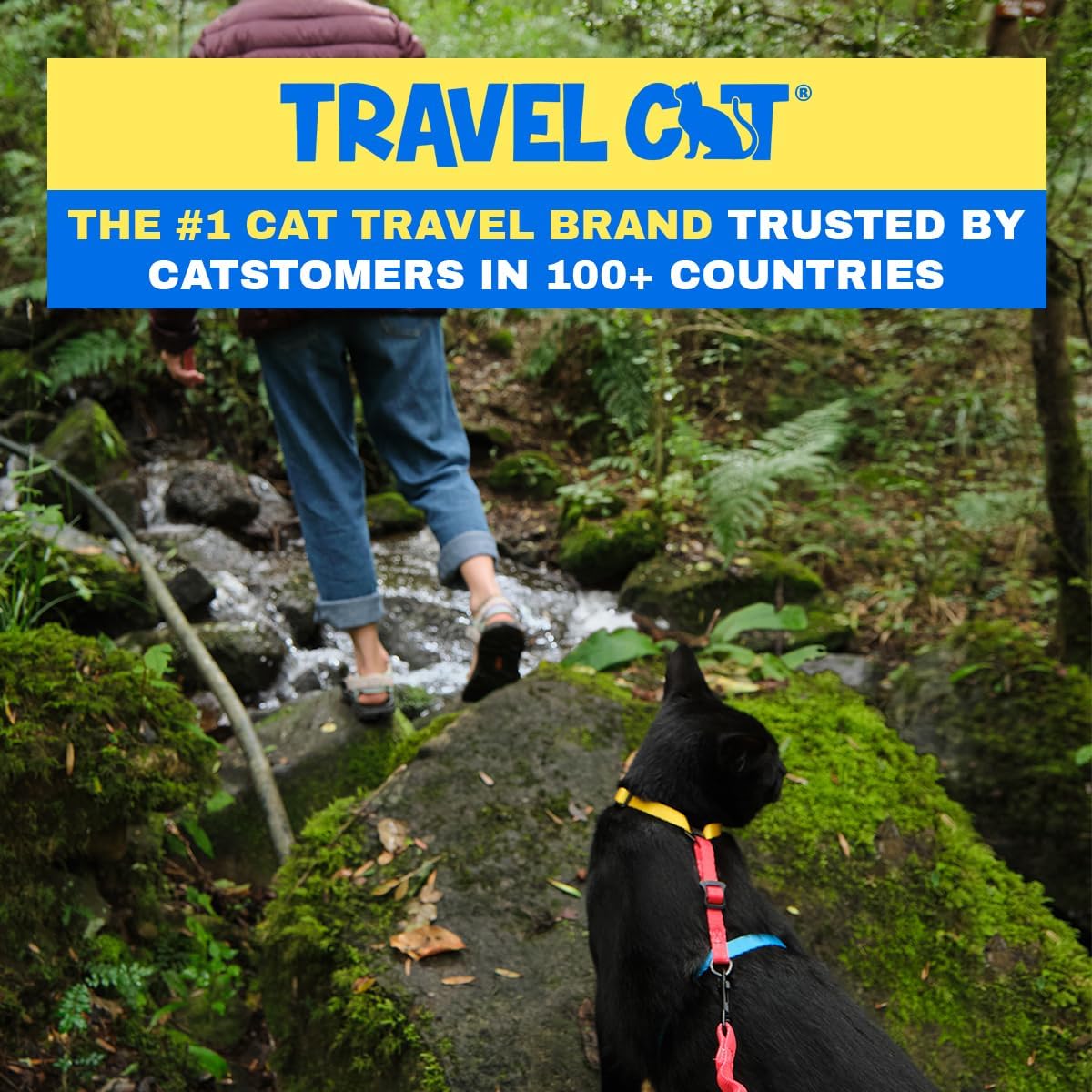 Travel Cat Harness and Bungee Leash Set, Large Cats, Kitten - Color Block - image 2