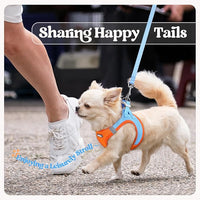 rabbitgoo Dog Harness Small Sized and Leash Set, Step in Soft Light Puppy Vest, Breathable Mesh Pet Harness, Reflective for Safe Easy Walking, Blue & Orange S