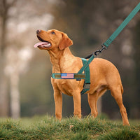 Annchwool No Pull Dog Harness with Soft Padded Handle - XL / Reflective-Green Set - image 3