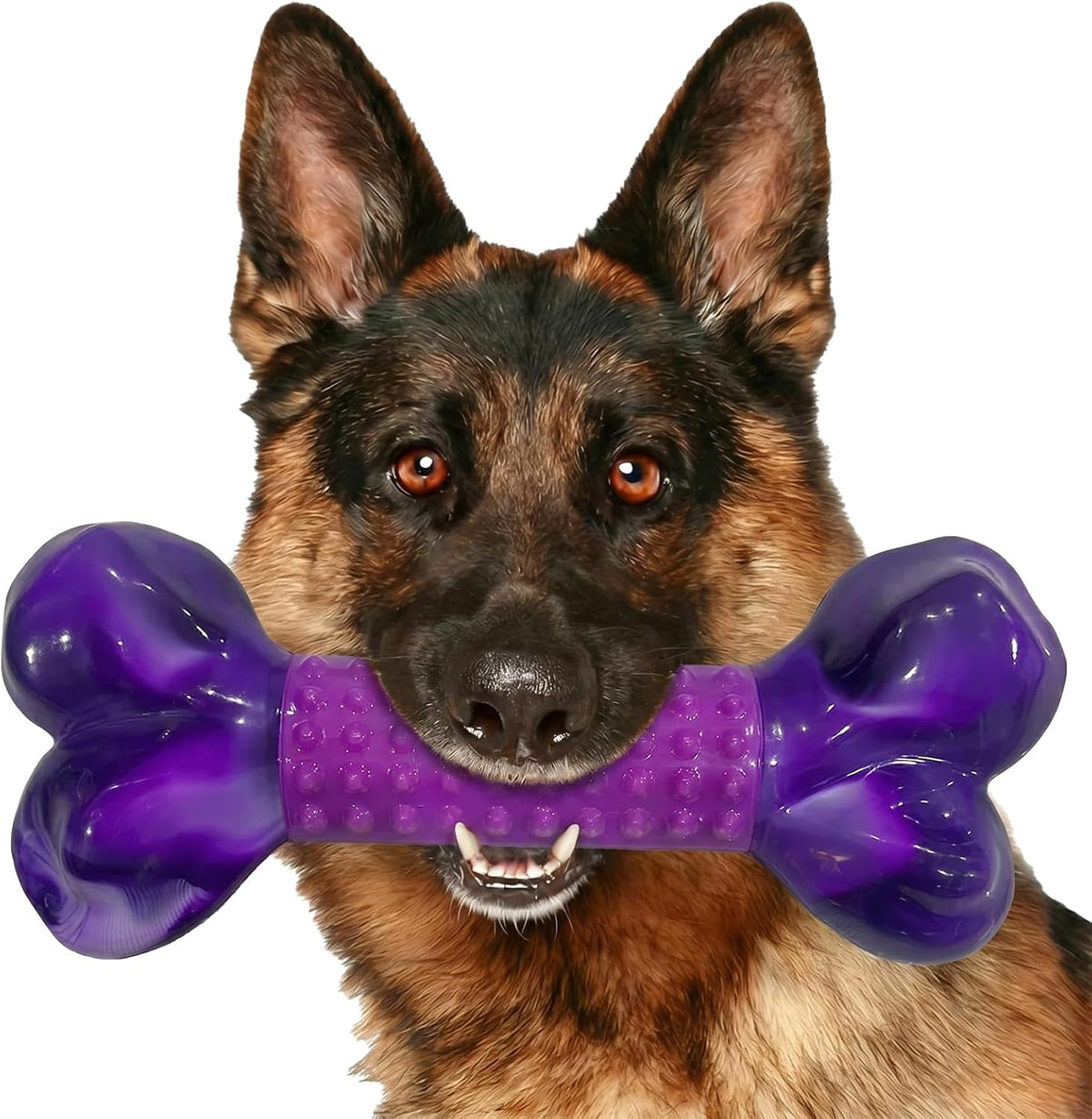 Tough Dog Toys for Aggressive Chewers: Beef Flavored Long Lasting Dog - 1 PC-Bacon-Purple