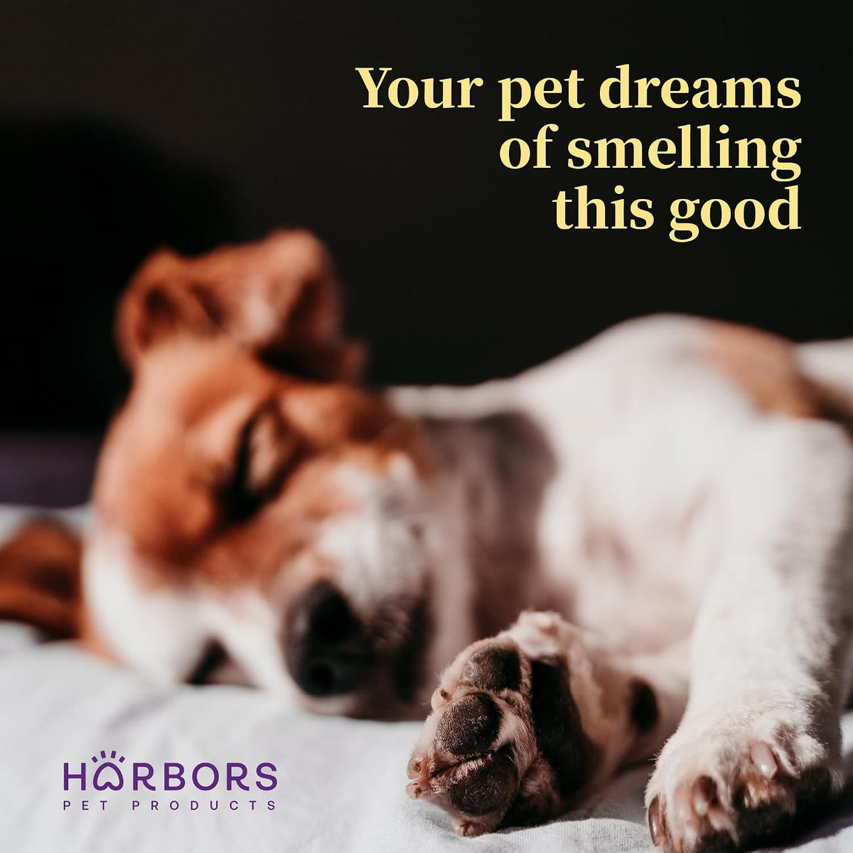 Harbor's pet cologne spray in fresh baby powder fragrance for dogs and cats - view 4