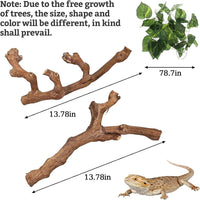 VCEPJH Snake Climbing Branch - Grape Wood (L:13.7"-15.7"-2pcs) / 2 - image 2