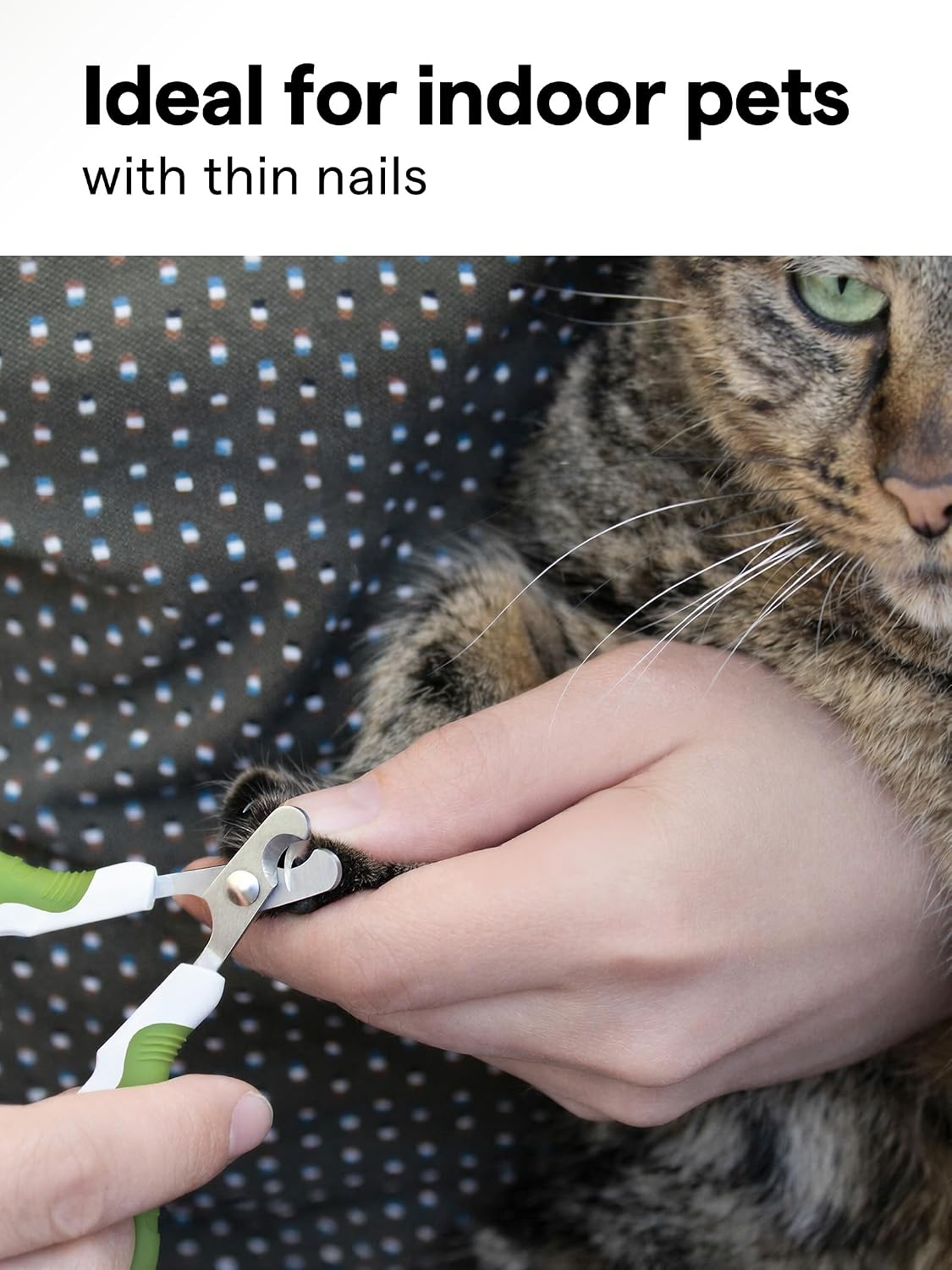 Pet Nail Clippers for Indoor Cats & Small Animals: Kitten Rabbit Tiny - image 2