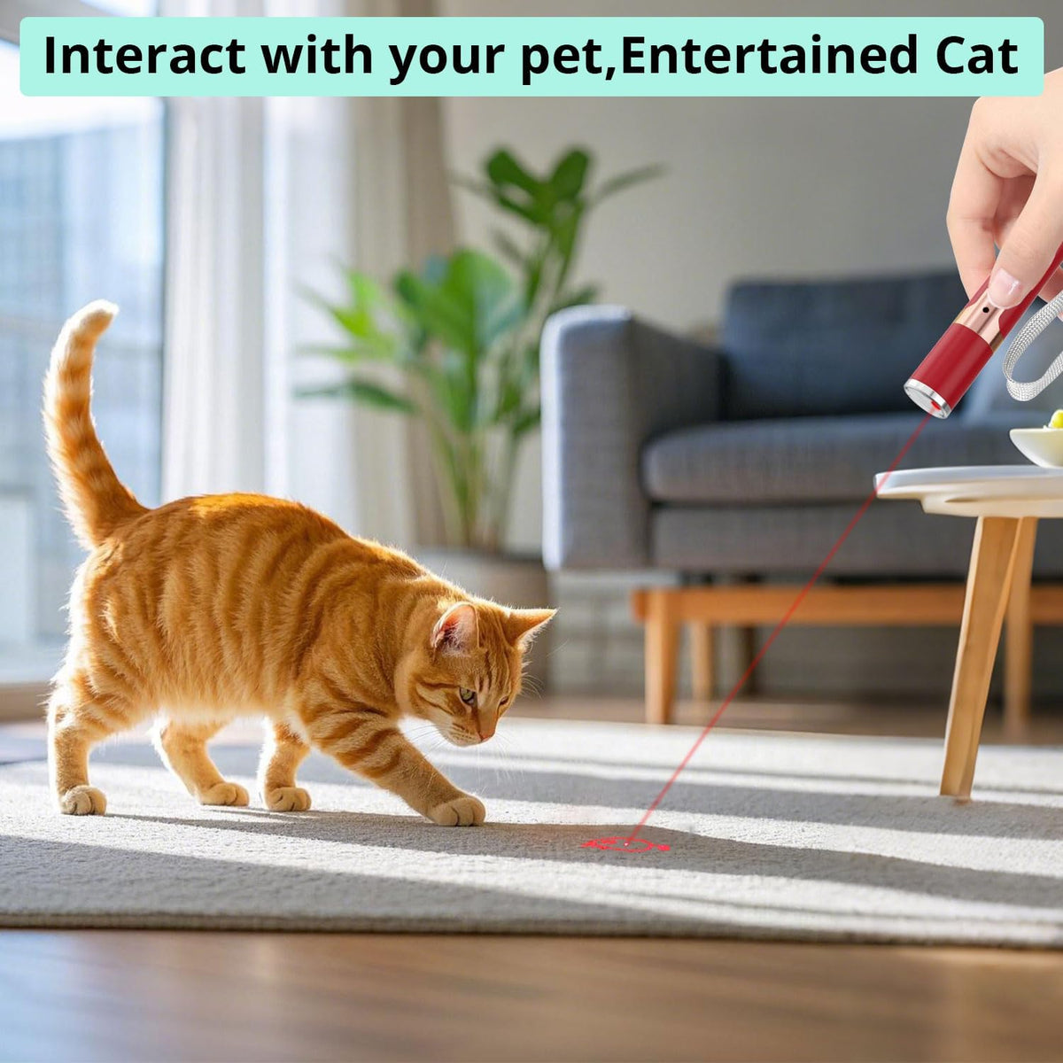TBTeek Cat Toys, with Metal Case, Rechargeable - Red / Red Light - image 2
