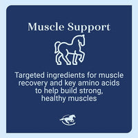 Uckele by SmartEquine Muscle EQ™ Powder | Muscle Supplement with L-Carnitine for Horses | Amino Acid Beta-Alanine for Optimal Muscle Function & Supports Recovery | 4.3 lb Bag