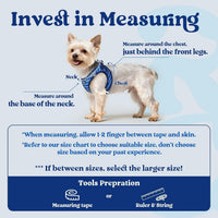 rabbitgoo Step-in Small Dog Harness - Blue Zigzag / Xs(chest:13.3"-15.5") - image 2