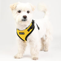 Authentic Puppia RiteFit Harness with Adjustable Neck - Yellow / Medium - image 4