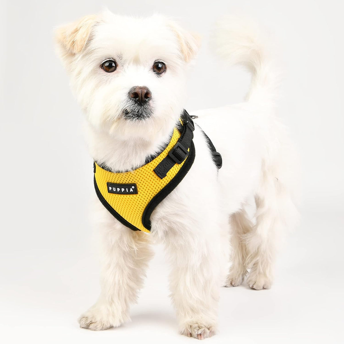 Authentic Puppia RiteFit Harness with Adjustable Neck - Yellow / Medium - image 4