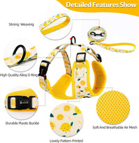 Dog Harness and Leash Set, Adjustable Dog Harness, Dog Leash - Lemon / M(Chest 15.7 - 22.1", Neck 12 - 15") - image 4