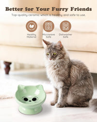 Raised Cat Food Bowl Ceramic 15° Tilted Cat Food Bowls Protect Cat's - FaceGreen-1P / 1 - image 2
