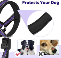 Soft Dog Head Collar, Patented Padded No Pull Training Head Halter – Essentials for Dogs - Purple / XL (Snout 12"-17.5") - image 2