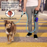 Plutus Pet Rope Dog Leash with Double Handles, Reflective - Rope-Blue - image 2
