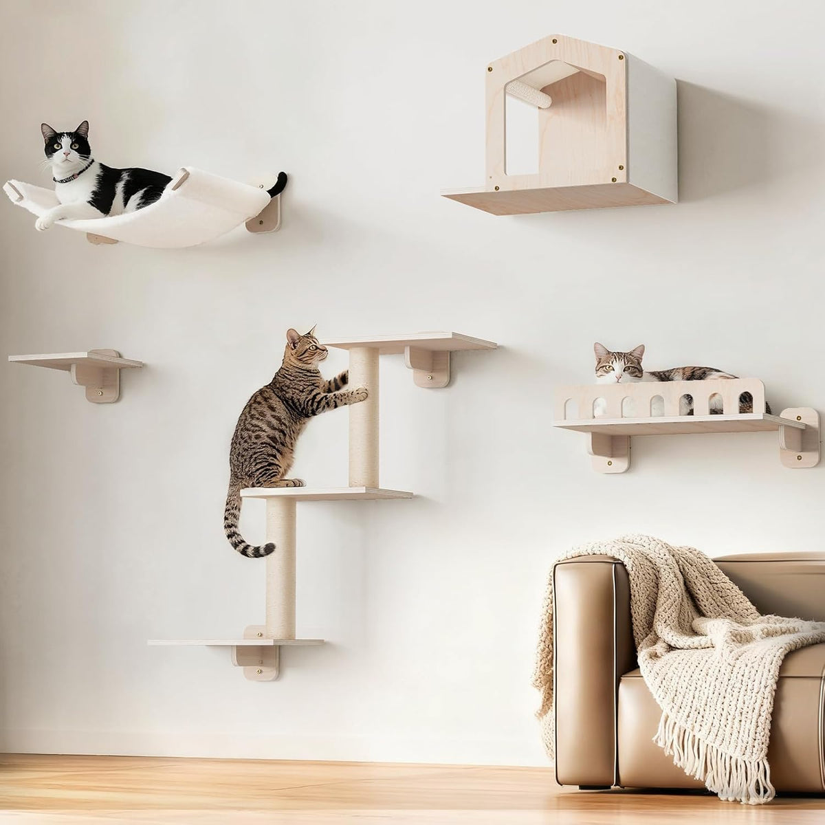 5-in-1 Cat Wall Shelves for Large Cat, Large Hammock, Wide Perch – Essentials for Cats