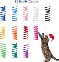 12PCS 12Colors Cat Spring Toys for Indoor Cats – Essentials for Cats - 24psc 12color - image 4