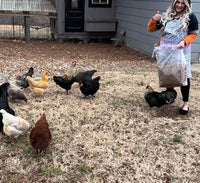 10lbs Dried Mealworms - Premium Non-GMO Chicken Feed, Nutritious High Protein Meal Worms- Food and Treats for Laying Hens, Wild Birds, Ducks, Chicken