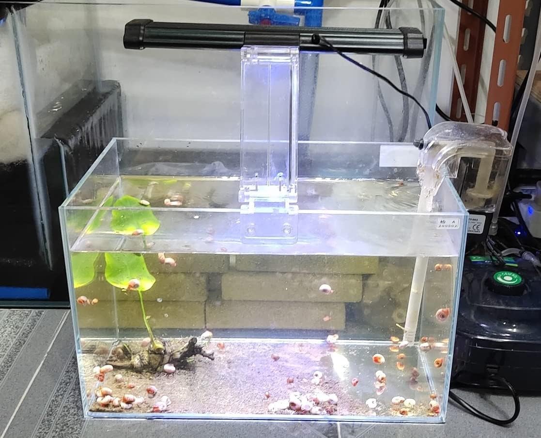 AWXZOM Small Nano Tall Rimless Tank, Glass Fish Tank, Betta Tank – Essentials for Fish - 1.1Gallon 7.8x5.5x5.9inch/20x14x15cm - image 3