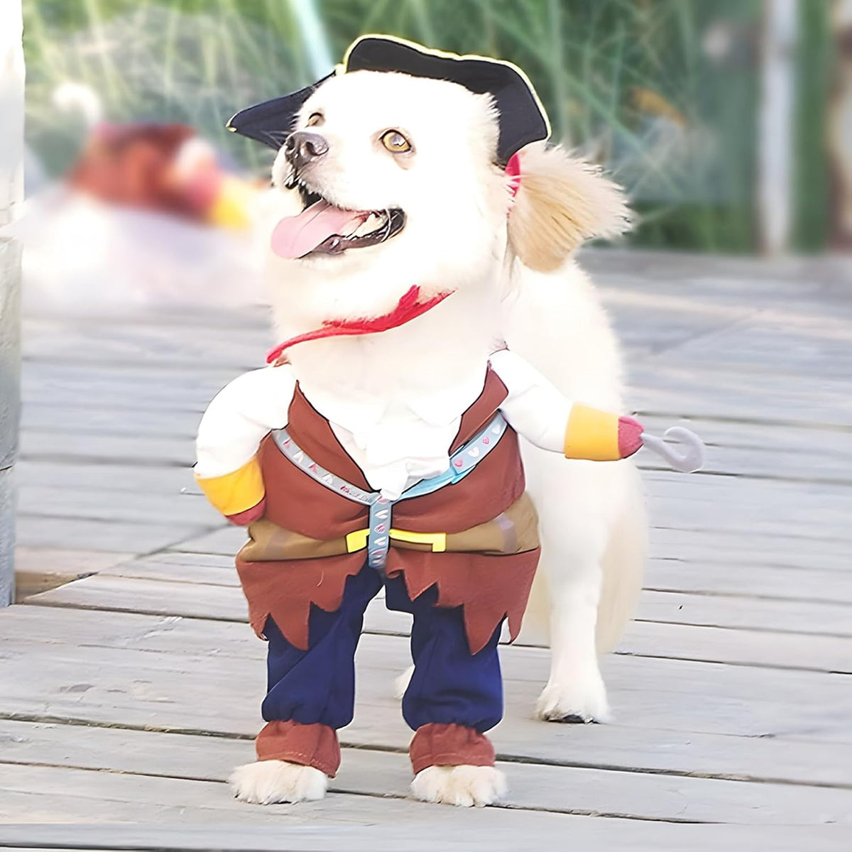 Pirates of the Caribbean style pirate dog costume with hat, size M for 10-13 lb dogs - view 2
