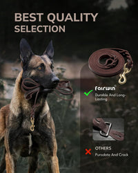 Braided Leather Dog Training Leash 6 Foot - Xl - 6 ft x 1 inch / Brown - image 2