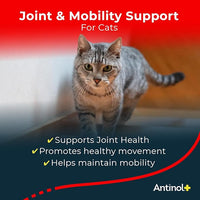 Plus, Mobility, Hip, and Joint Supplement for Cats, Green-Lipped Mussels and Krill Oil - Cat Joint Supplement, 60 Soft Gels