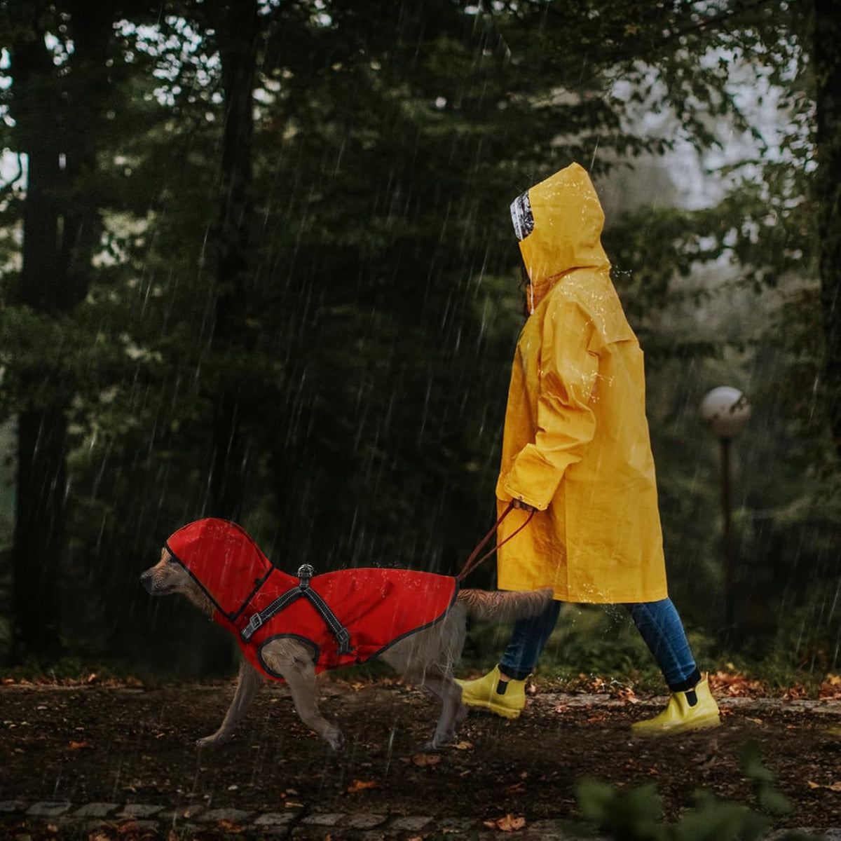 Dog Raincoat Waterproof Dog Hoodie Reflective Dog Raincoat Hooded - S / Red - image 3